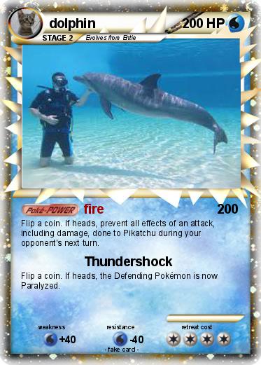 Pokemon dolphin