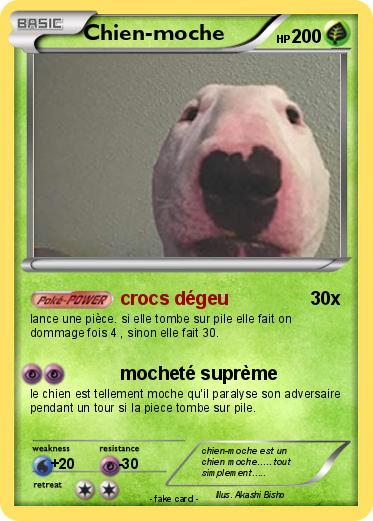 Pokemon Chien-moche