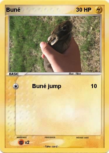 Pokemon Buné