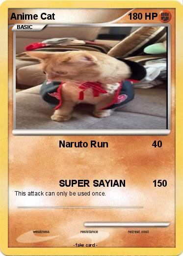 Pokemon Anime Cat