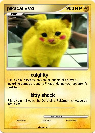 Pokemon pikacat