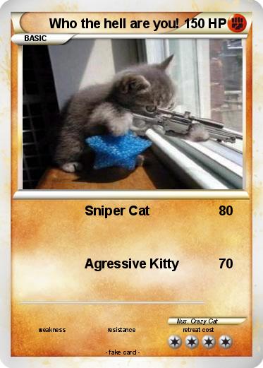 Pokemon Who the hell are you!