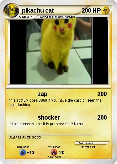 Pokemon pikachu cat