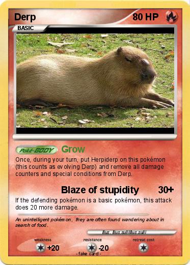Pokemon Derp