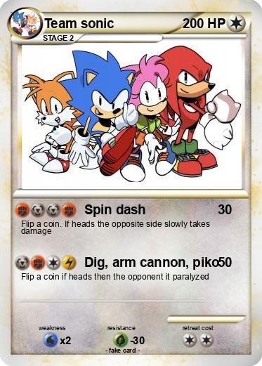 Pokemon Team sonic