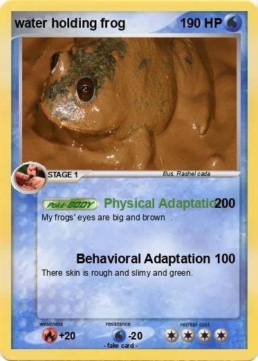 Pokemon water holding frog