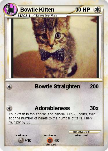 Pokemon Bowtie Kitten
