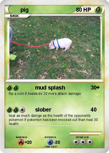 Pokemon pig