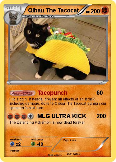 Pokemon Qibau The Tacocat