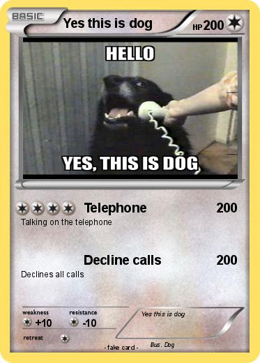 Pokemon Yes this is dog
