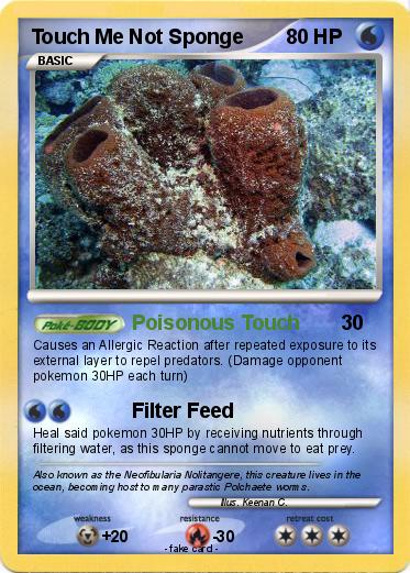 Pokemon Touch Me Not Sponge
