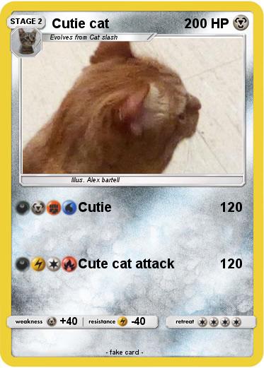 Pokemon Cutie cat