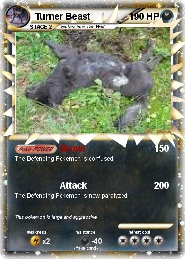 Pokemon Turner Beast