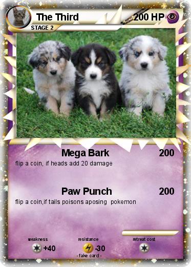 Pokemon The Third
