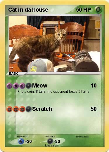 Pokemon Cat in da house