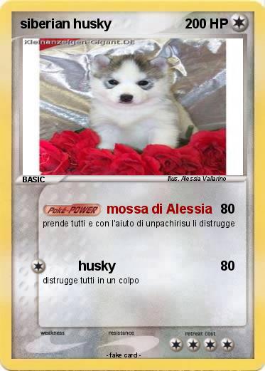 Pokemon siberian husky