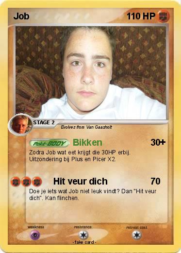 Pokemon Job