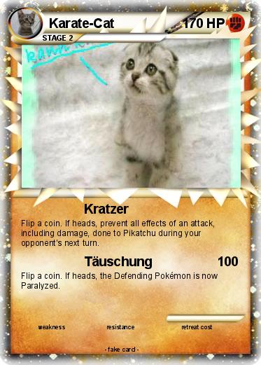 Pokemon Karate-Cat