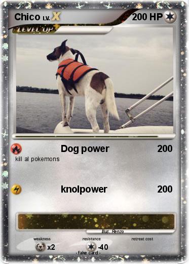 Pokemon Chico