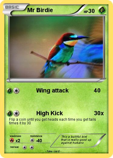 Pokemon Mr Birdie