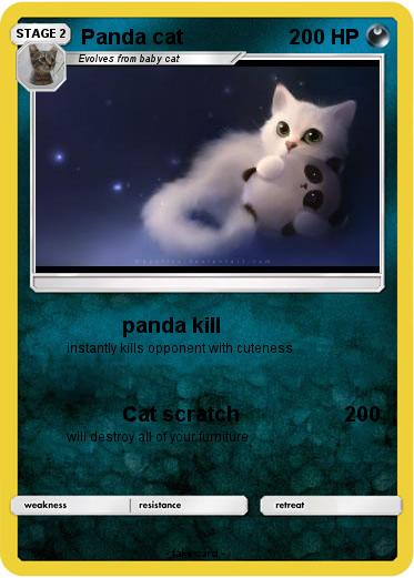 Pokemon Panda cat