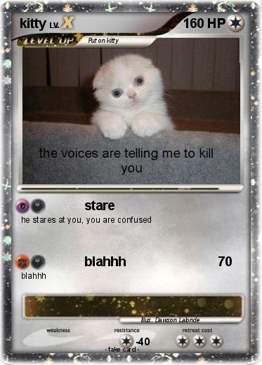 Pokemon kitty