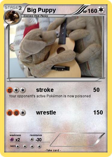 Pokemon Big Puppy