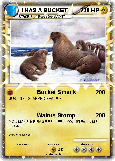 Pokemon I HAS A BUCKET