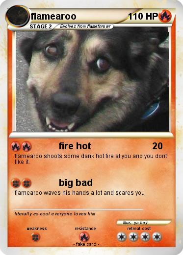 Pokemon flamearoo