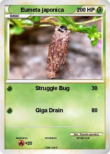 Pokemon Eumeta japonica
