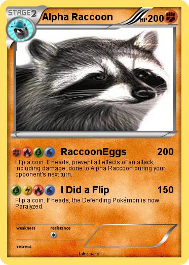 Pokemon Alpha Raccoon