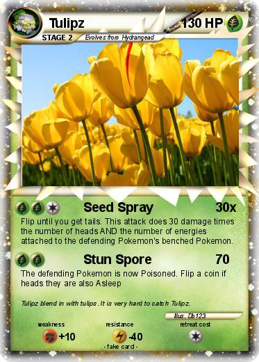 Pokemon Tulipz