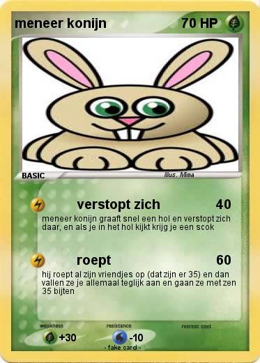 Pokemon meneer konijn