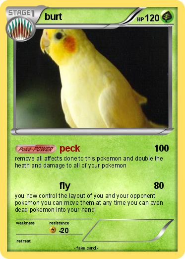 Pokemon burt