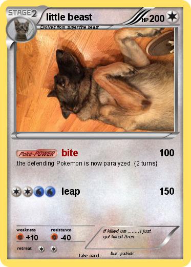 Pokemon little beast