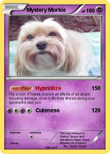 Pokemon Mystery Morkie