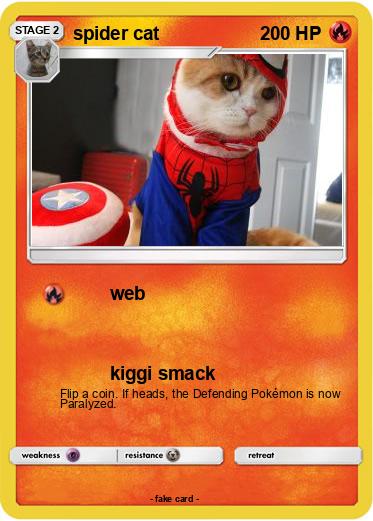 Pokemon spider cat