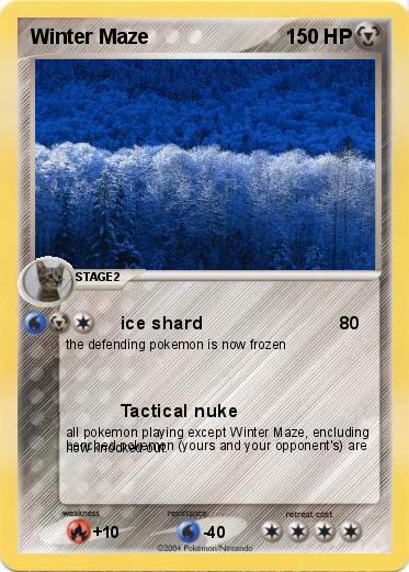 Pokemon Winter Maze
