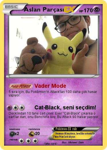 Pokemon Aslan Parçası