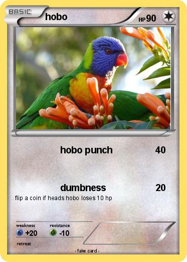 Pokemon hobo