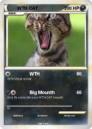 Pokemon WTH CAT