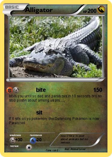 Pokemon Alligator