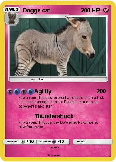 Pokemon Dogge cat