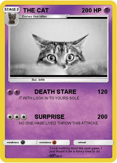 Pokemon THE CAT