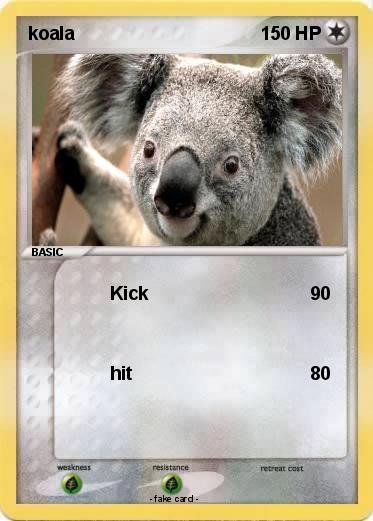 Pokemon koala