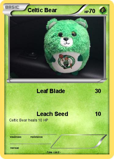 Pokemon Celtic Bear