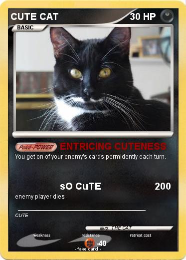 Pokemon CUTE CAT