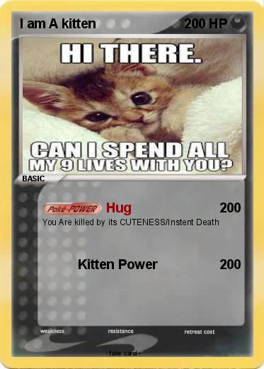 Pokemon I am A kitten