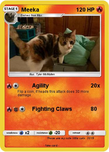 Pokemon Meeka