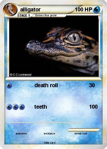 Pokemon alligator